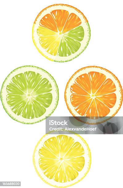 Orange Limette Und Zitrone Stock Vektor Art und mehr Bilder von Limette - Limette, Zitrone, Orange - Frucht