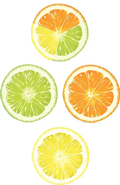 Vector illustration of Orange, Lime and Lemon