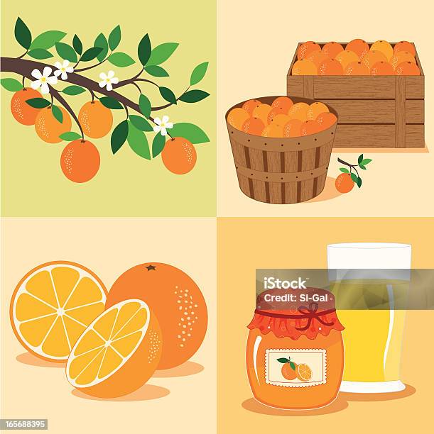 Vetores de Laranjas De Árvore Para A Mesa e mais imagens de Laranja - Frutas cítricas - Laranja - Frutas cítricas, Vector, Ilustração e Pintura