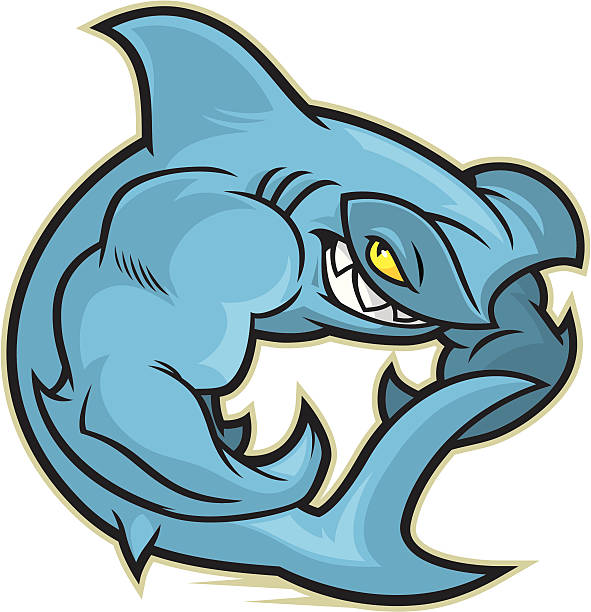 Flexing Hammerhead Shark vector art illustration