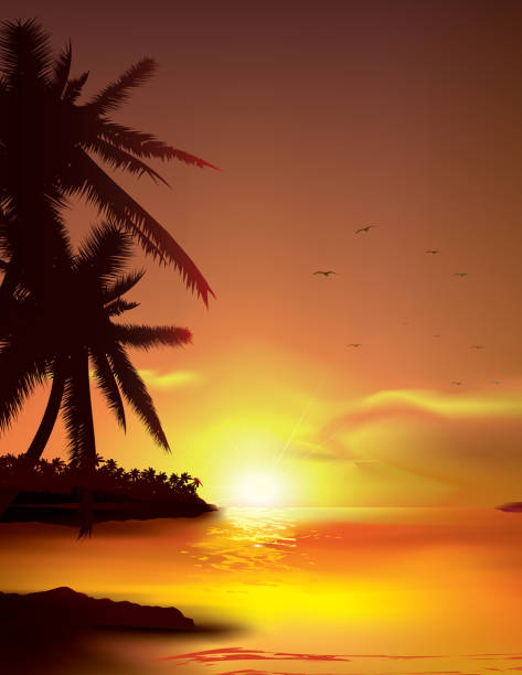 Tropical Beach Tropical Beach and cloudscape illustration. tropical beach and clouds scene stock illustrations