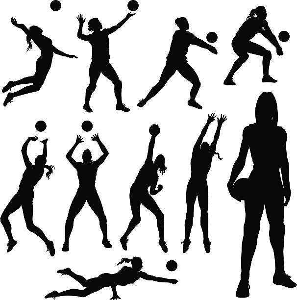 ilustrações de stock, clip art, desenhos animados e ícones de silhuetas de voleibol - sports activity illustrations