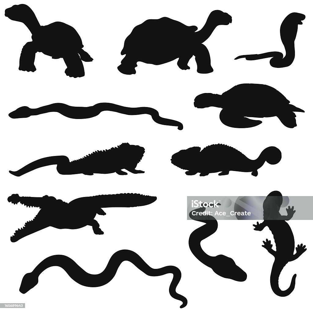 Reptile silhouette collection A collection of reptile silhouettes including snakes tortoise, lizzards, crocodile and turtle. Reptile stock vector