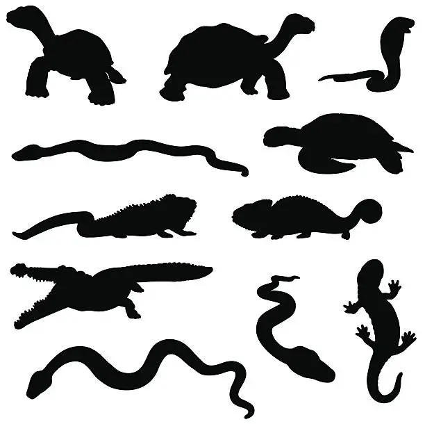 Vector illustration of Reptile silhouette collection