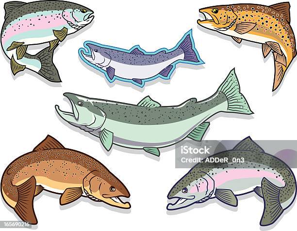 고기잡이 연어 송어 설정 연어-동물에 대한 스톡 벡터 아트 및 기타 이미지 - 연어-동물, 무지개송어, 송어