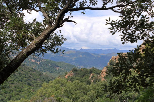 istock mountainous hiking in sardinia 1656903632