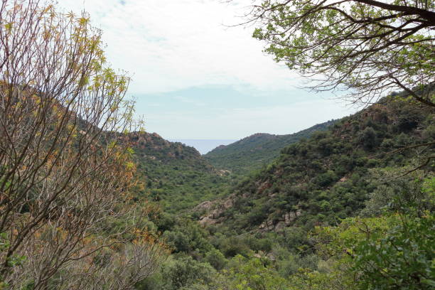 istock mountainous hiking in sardinia 1656904158