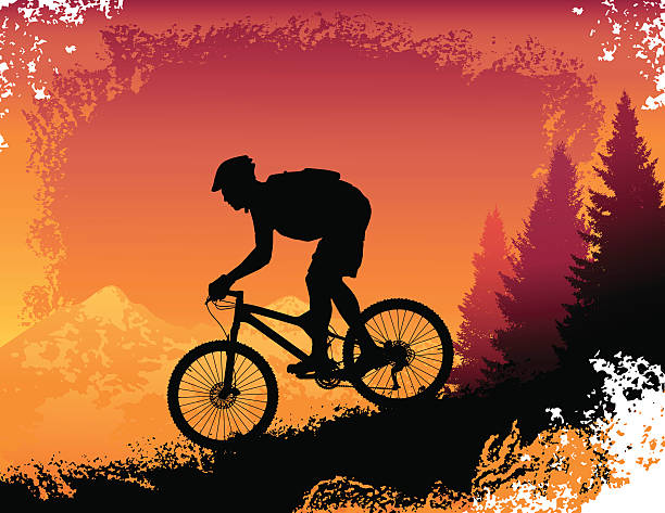 Downhill Mountain Bike Ride at Sunset vector art illustration