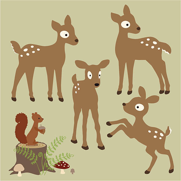 Fawns In the Ferny Forest vector art illustration