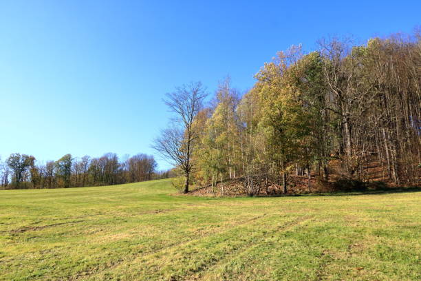 istock Autumn Landscape in Saxony, Germany 1656910103