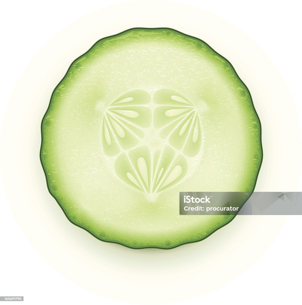 Cucumber slice Vector illustration of cucumber slice. Cucumber stock vector