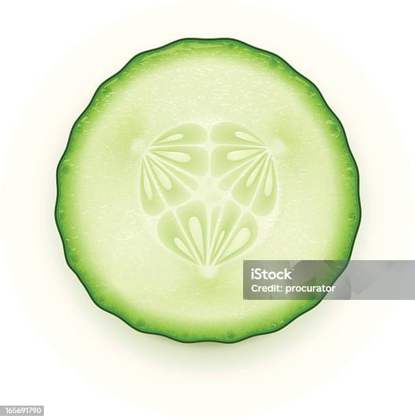 Cucumber Slice Stock Illustration - Download Image Now - Cucumber, Illustration, Vector