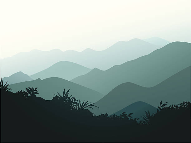 smoky mountains - bettafish stock illustrations