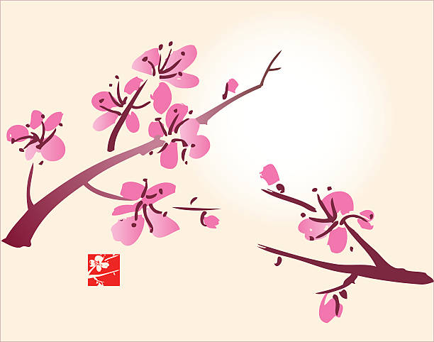 Blossom and Sun In the oriental culture the Blossom symbolise love and happiness.  blossom peach blossom plum blossom zen like stock illustrations