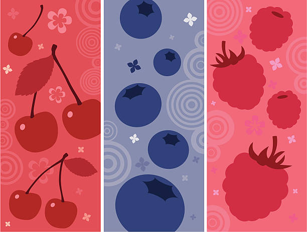 Fruit Cocktail 3 vertical banners: cherries, blueberries and raspberries.  raspberry stock illustrations