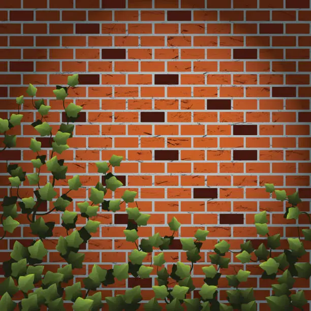 Vector illustration of Ivy on Brick Wall