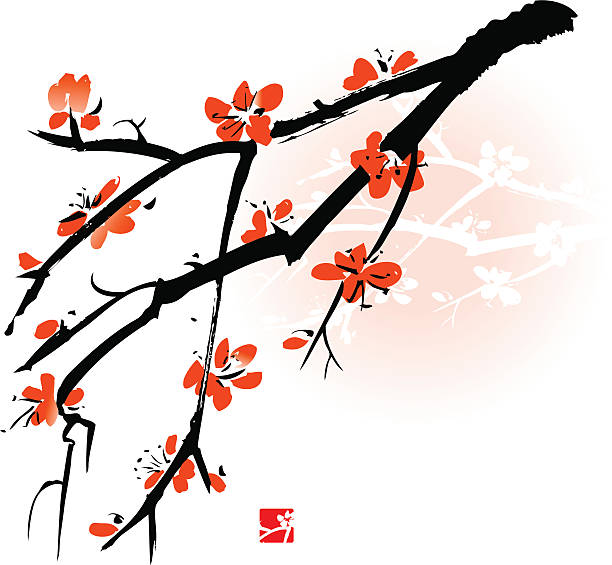 Apricot blossom Vectorized oriental style brush painting blossom peach blossom plum blossom zen like stock illustrations