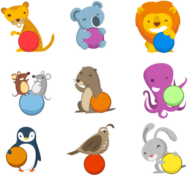 Animal Alphabet with balls to fill in letters numbers symbols Cute animals with balls to fill in with letters, numbers or symbols. With giraffe, koala, lion, rats, mouse, mice, beaver, octopus, penguin, bird and rabbit.  nutria rodent animal alphabet stock illustrations
