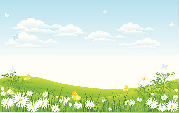 illustrations, cliparts, dessins animés et icônes de meadow - spring grass cloud butterfly