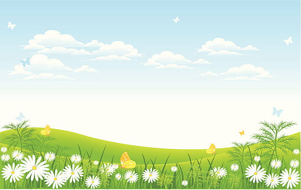 meadow - spring grass cloud butterfly stock illustrations