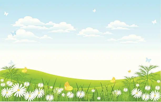 Vector illustration of Meadow