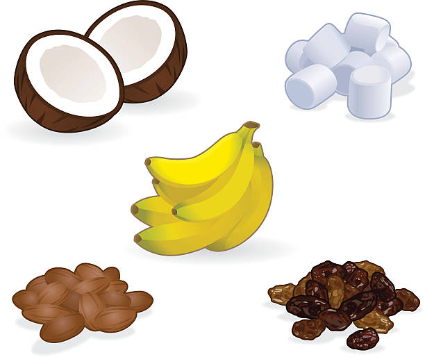 Coconut, banana, almond, raisin and marshmallow cartoons vector art illustration