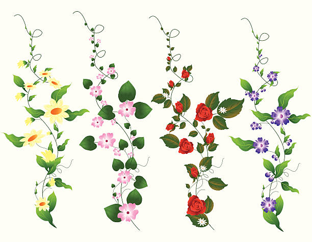 Four Different Vine Set Self illustrated Four Different Vine Set. swirly vines stock illustrations