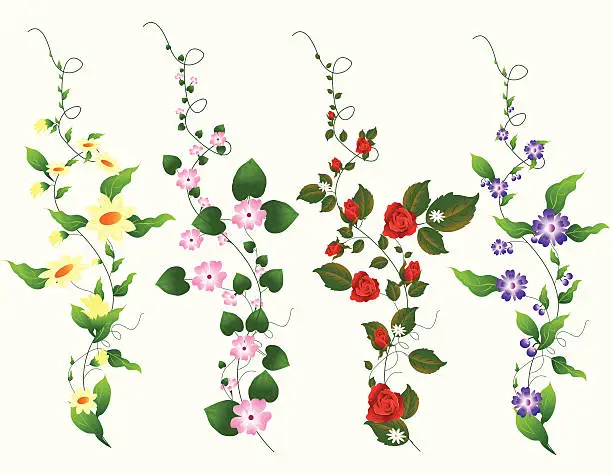 Vector illustration of Four Different Vine Set