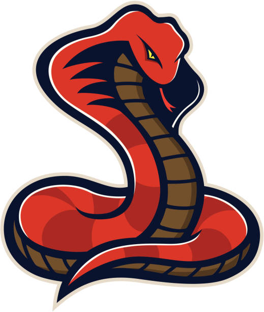 snake-maskottchen - cobra stock-grafiken, -clipart, -cartoons und -symbole