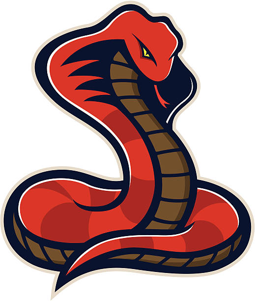 Snake mascot "Stylized powerful snake mascot, colored version. All Colors are separated in layers." ophiophagus hannah stock illustrations