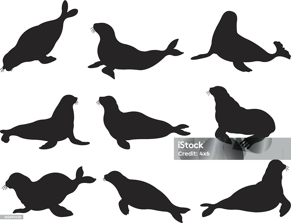 Seals in action Seal - Animal stock vector