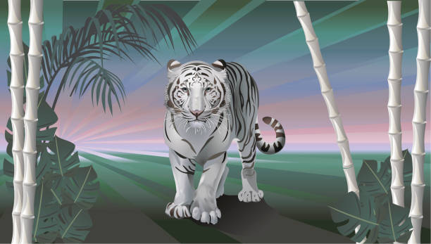 White Tiger Vector Art Graphics Freevector Com