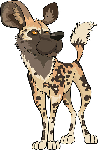 Wild Dog Stock Illustration - Download Image Now - African Wild Dog, Africa, Animal - iStock Wild Dog Stock Illustration - Download Image Now - African Wild Dog, Africa, Animal - iStock