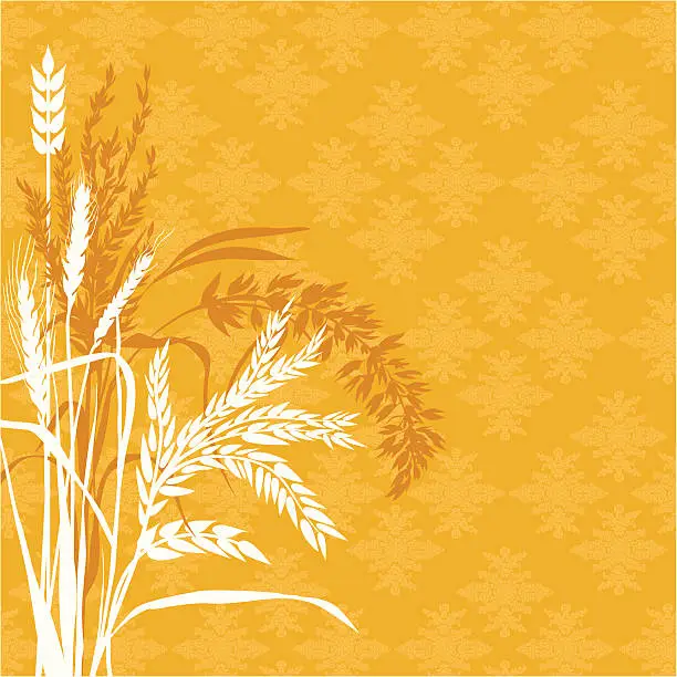 Vector illustration of Cereal plants background