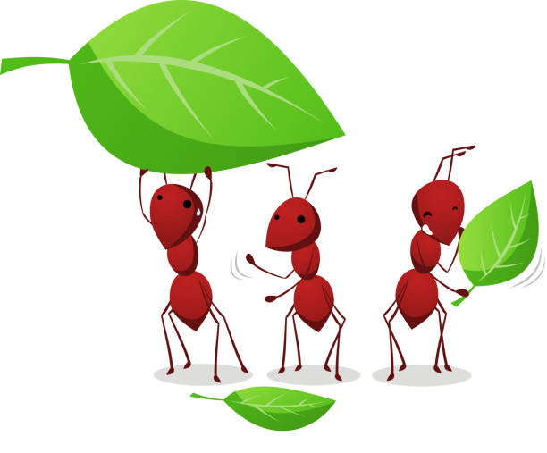 Three Ants working and carrying leafs to the anthill Three Cartoon Ants working organized in order to carry three leafs to the ant nest vector illustration.  ant stock illustrations