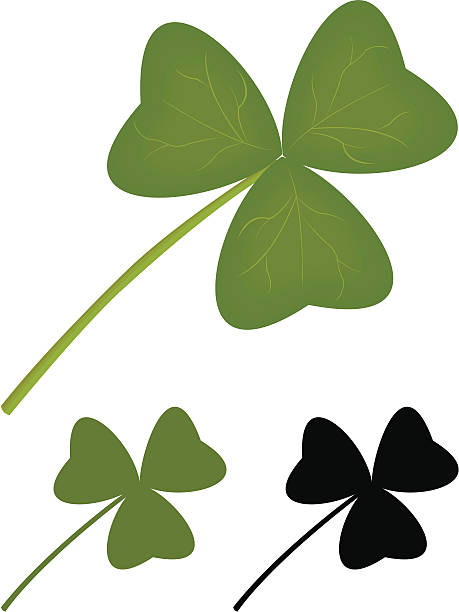 clover vector illustration of clover shamrock tattoo stock illustrations