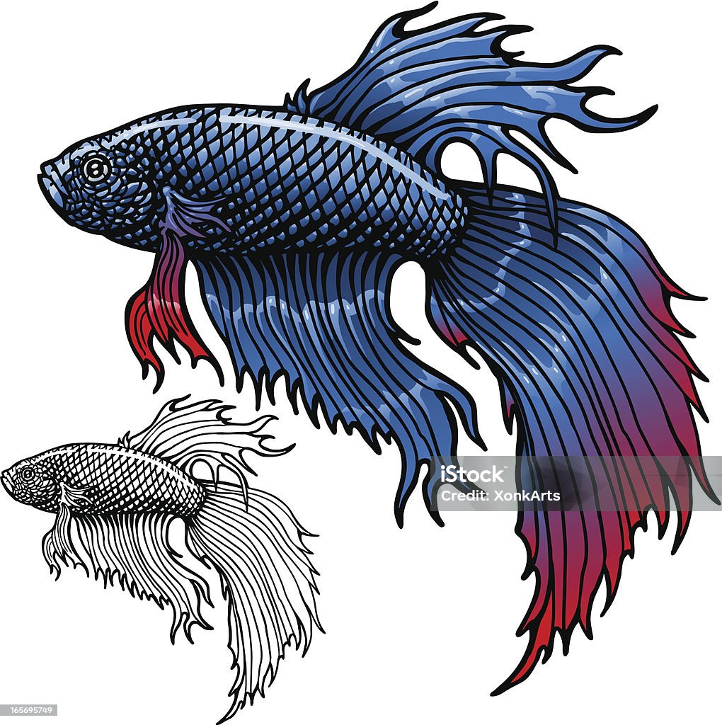 Betta poisson - clipart vectoriel de Poisson combattant siamois libre de droits