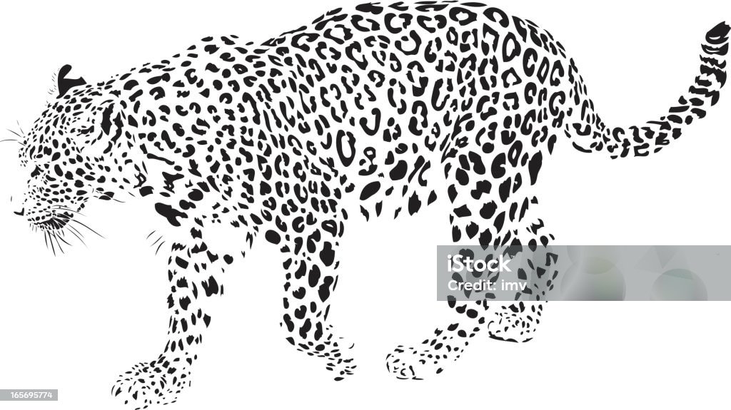 LEOPARDO illustrazione (Panthera pardus) - arte vettoriale royalty-free di Leopardo