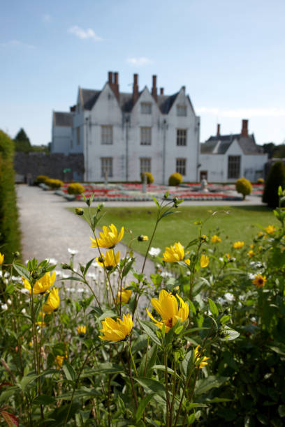 istock Summer flowers stately home in background 165695969
