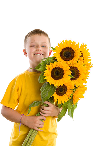 Photo of boy with sunflowers