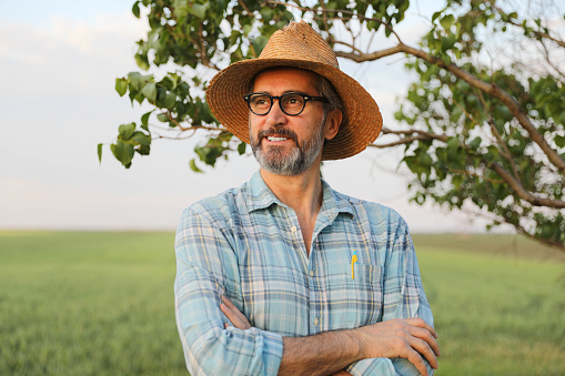 Portrait of mature farmer standing in wheat field with crossed arms