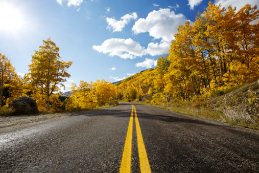 Road travels through the autumn colors of the Colorado mountains.