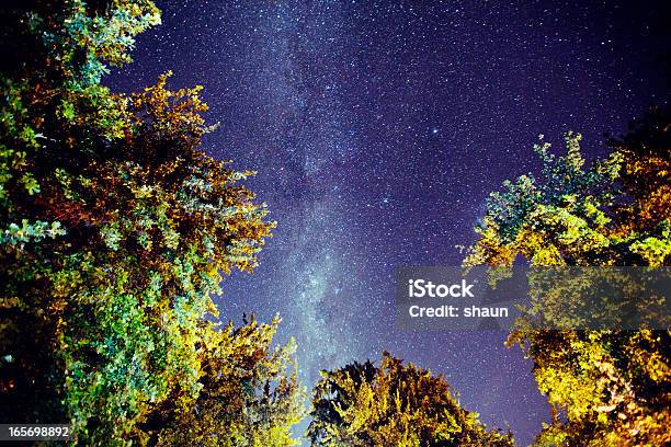Foto de A Via Láctea e mais fotos de stock de Astronomia - Astronomia, Constelação, Céu - Fenômeno natural