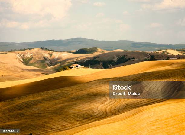 Photo libre de droit de Paysage En Toscane banque d'images et plus d'images libres de droit de Aride - Aride, Champ, Maison