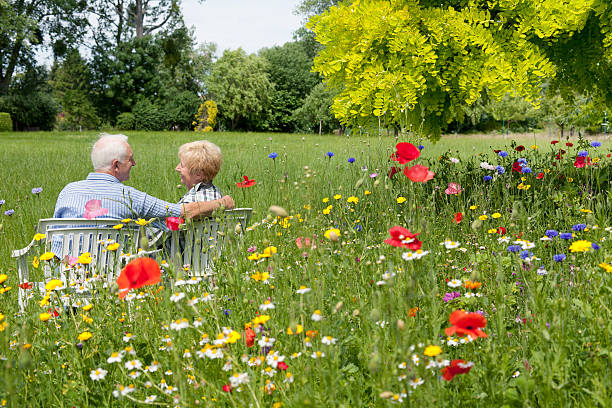 pareja mayor sentado entre las flores en el jardín - poppy flower field red fotografías e imágenes de stock