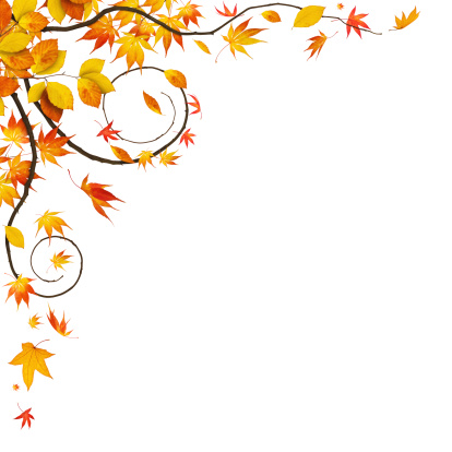 Autumn frame - colorful autumn leaves with spiral branches in the left corner.