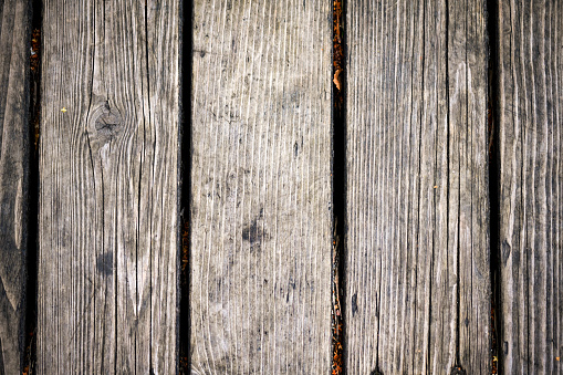 wooden background from old boards