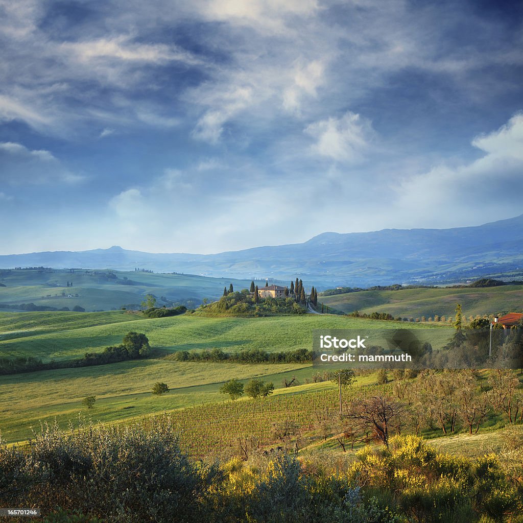 Campo de Toscana - Foto de stock de Casa royalty-free