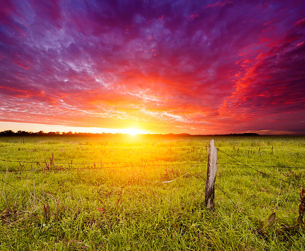 istock Golden Sunrise over farmland 165702871
