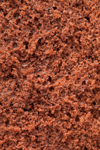 Closeup view of chocolate sponge cake